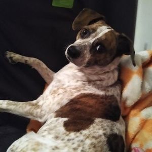 Meet your Posher, Helen